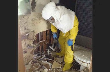 Asbestos, Mold & Lead Remediation